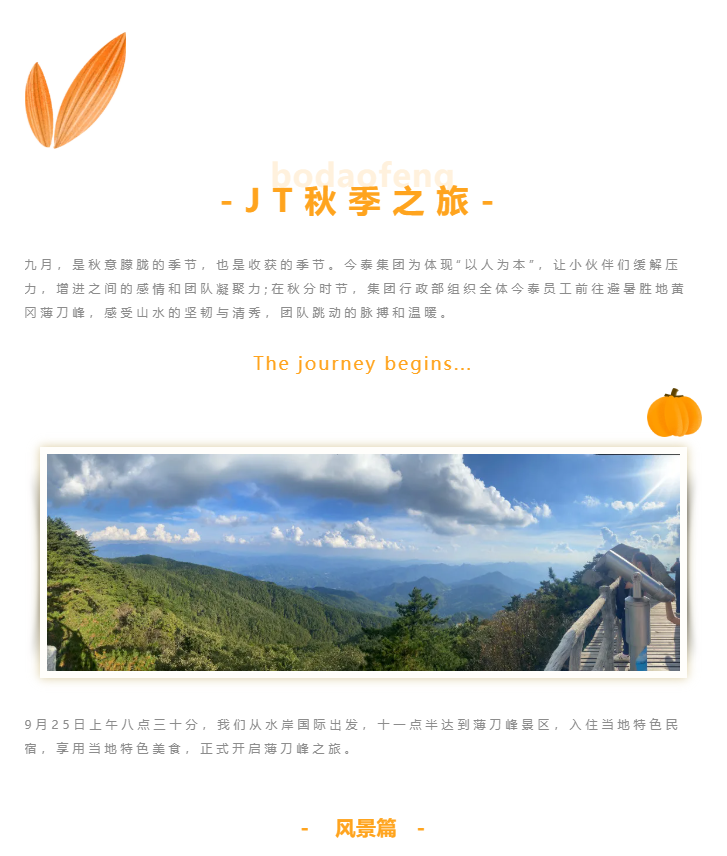 秋天了，來一場成年人的秋游吧(圖1)